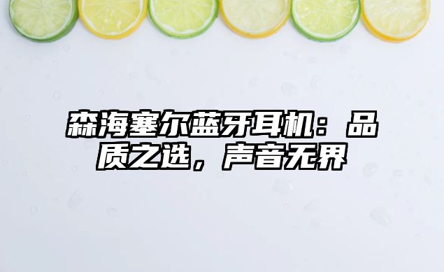 森海塞爾藍(lán)牙耳機(jī)：品質(zhì)之選，聲音無(wú)界