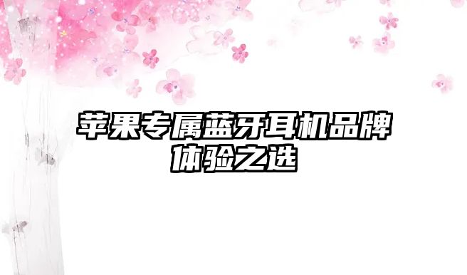 蘋果專屬藍牙耳機品牌體驗之選
