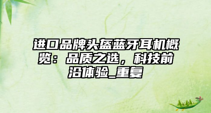 進(jìn)口品牌頭盔藍(lán)牙耳機(jī)概覽：品質(zhì)之選，科技前沿體驗(yàn)_重復(fù)