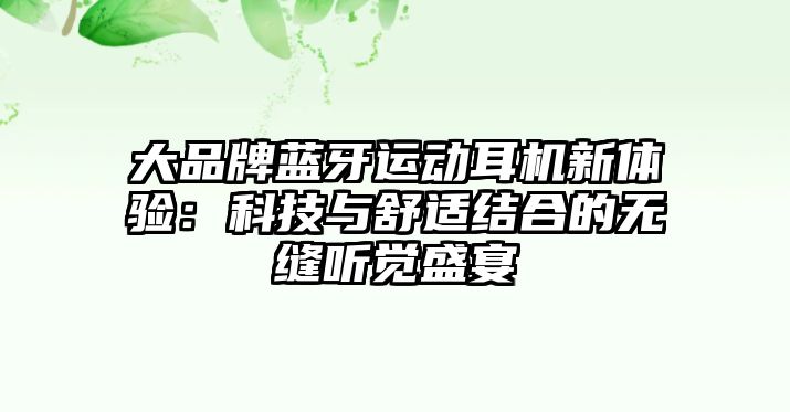 大品牌藍(lán)牙運(yùn)動(dòng)耳機(jī)新體驗(yàn)：科技與舒適結(jié)合的無(wú)縫聽覺(jué)盛宴