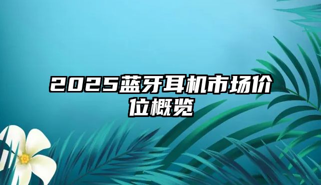 2025藍(lán)牙耳機(jī)市場價位概覽