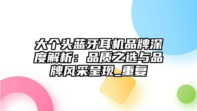 大個頭藍牙耳機品牌深度解析：品質(zhì)之選與品牌風(fēng)采呈現(xiàn)_重復(fù)