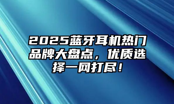 2025藍(lán)牙耳機(jī)熱門品牌大盤點(diǎn),優(yōu)質(zhì)選擇一網(wǎng)打盡!