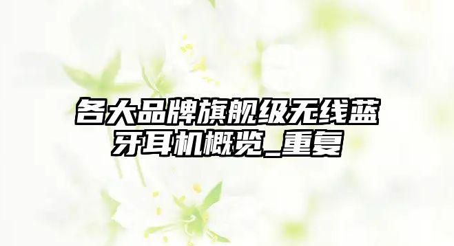 各大品牌旗艦級無線藍(lán)牙耳機(jī)概覽_重復(fù)