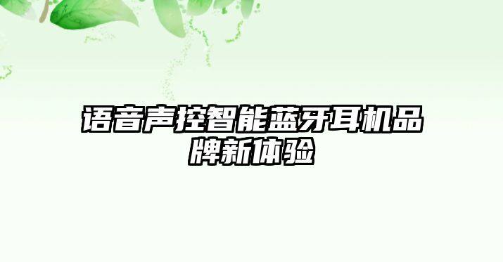 語音聲控智能藍(lán)牙耳機(jī)品牌新體驗(yàn)