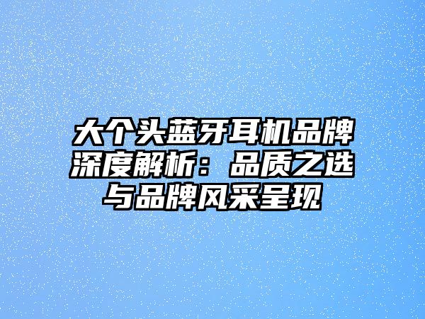 大個(gè)頭藍(lán)牙耳機(jī)品牌深度解析：品質(zhì)之選與品牌風(fēng)采呈現(xiàn)