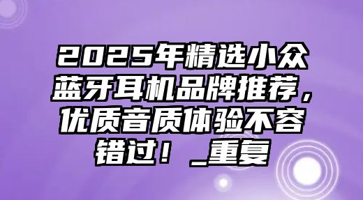 2025年精選小眾藍牙耳機品牌推薦，優(yōu)質(zhì)音質(zhì)體驗不容錯過！_重復(fù)
