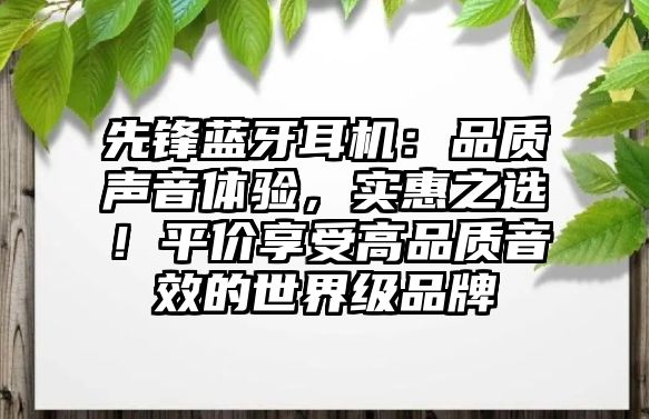 先鋒藍(lán)牙耳機(jī)：品質(zhì)聲音體驗(yàn)，實(shí)惠之選！平價(jià)享受高品質(zhì)音效的世界級品牌