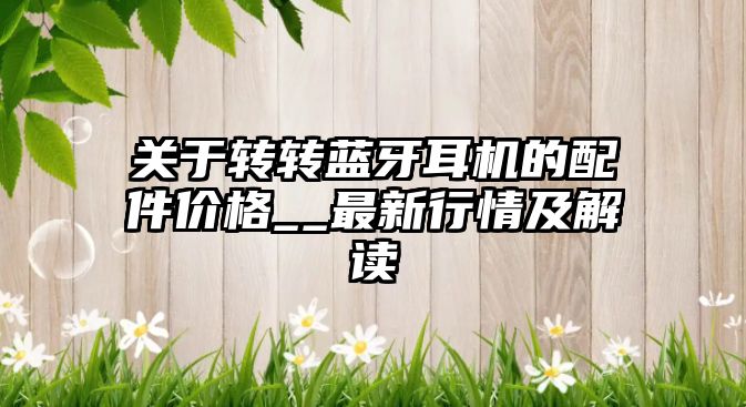 關(guān)于轉(zhuǎn)轉(zhuǎn)藍牙耳機的配件價格__最新行情及解讀