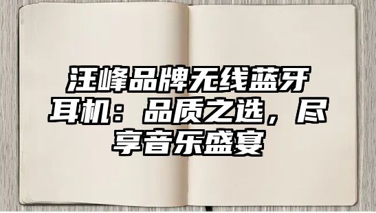 汪峰品牌無(wú)線(xiàn)藍(lán)牙耳機(jī)：品質(zhì)之選，盡享音樂(lè)盛宴