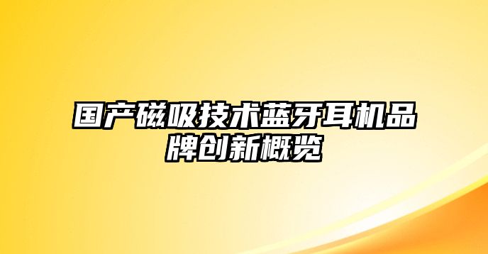 國產磁吸技術藍牙耳機品牌創(chuàng)新概覽