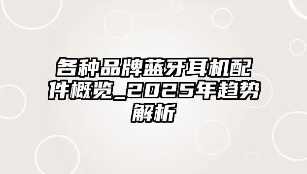 各種品牌藍牙耳機配件概覽_2025年趨勢解析