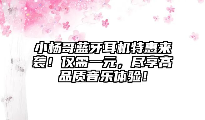 小楊哥藍牙耳機特惠來襲！僅需一元，盡享高品質(zhì)音樂體驗！