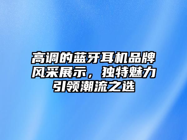高調(diào)的藍牙耳機品牌風采展示，獨特魅力引領潮流之選