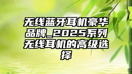 無線藍(lán)牙耳機(jī)豪華品牌_2025系列無線耳機(jī)的高級選擇