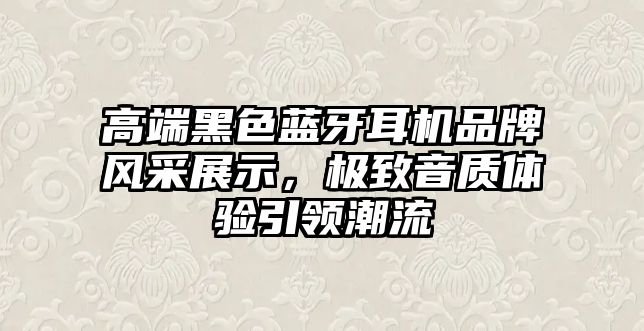 高端黑色藍牙耳機品牌風(fēng)采展示，極致音質(zhì)體驗引領(lǐng)潮流