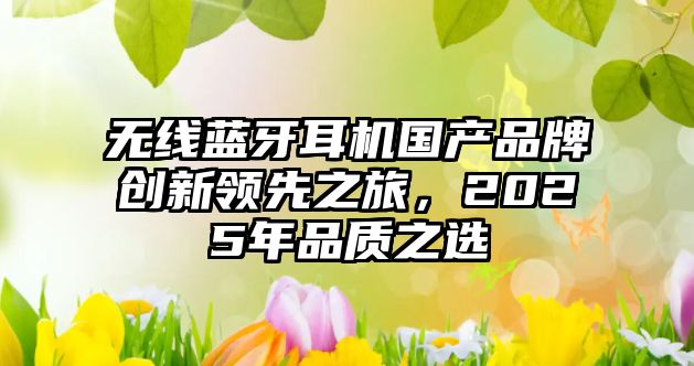 無線藍牙耳機國產(chǎn)品牌創(chuàng)新領(lǐng)先之旅，2025年品質(zhì)之選