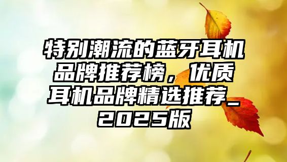 特別潮流的藍牙耳機品牌推薦榜，優(yōu)質耳機品牌精選推薦_2025版