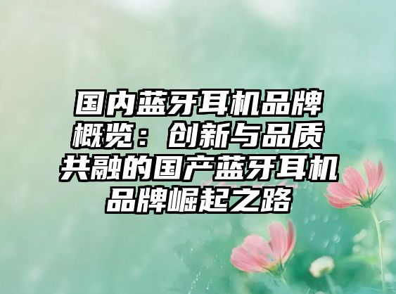 國(guó)內(nèi)藍(lán)牙耳機(jī)品牌概覽：創(chuàng)新與品質(zhì)共融的國(guó)產(chǎn)藍(lán)牙耳機(jī)品牌崛起之路