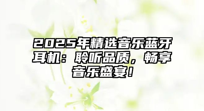 2025年精選音樂藍(lán)牙耳機(jī)：聆聽品質(zhì)，暢享音樂盛宴！