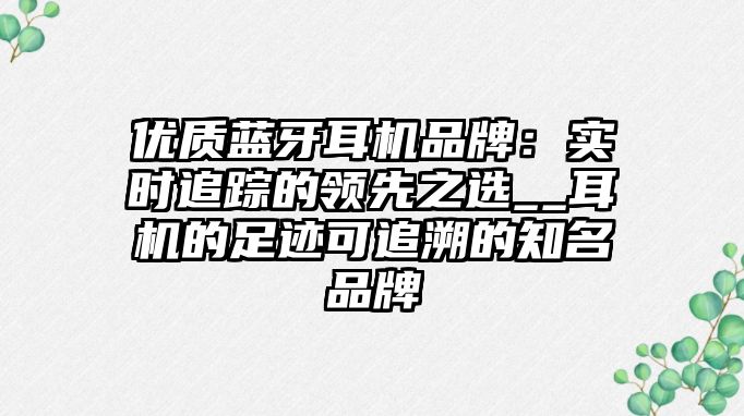 優(yōu)質(zhì)藍(lán)牙耳機(jī)品牌：實(shí)時(shí)追蹤的領(lǐng)先之選__耳機(jī)的足跡可追溯的知名品牌