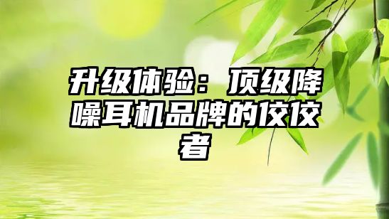升級(jí)體驗(yàn)：頂級(jí)降噪耳機(jī)品牌的佼佼者