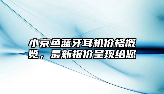 小京魚藍(lán)牙耳機(jī)價(jià)格概覽,最新報(bào)價(jià)呈現(xiàn)給您