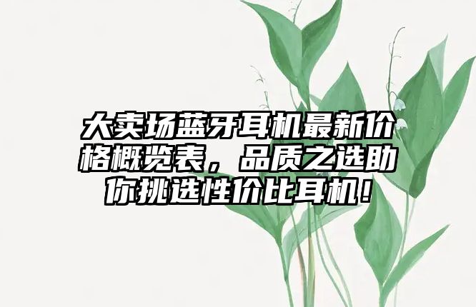 大賣場藍(lán)牙耳機(jī)最新價(jià)格概覽表，品質(zhì)之選助你挑選性價(jià)比耳機(jī)！